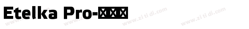 Etelka Pro字体转换